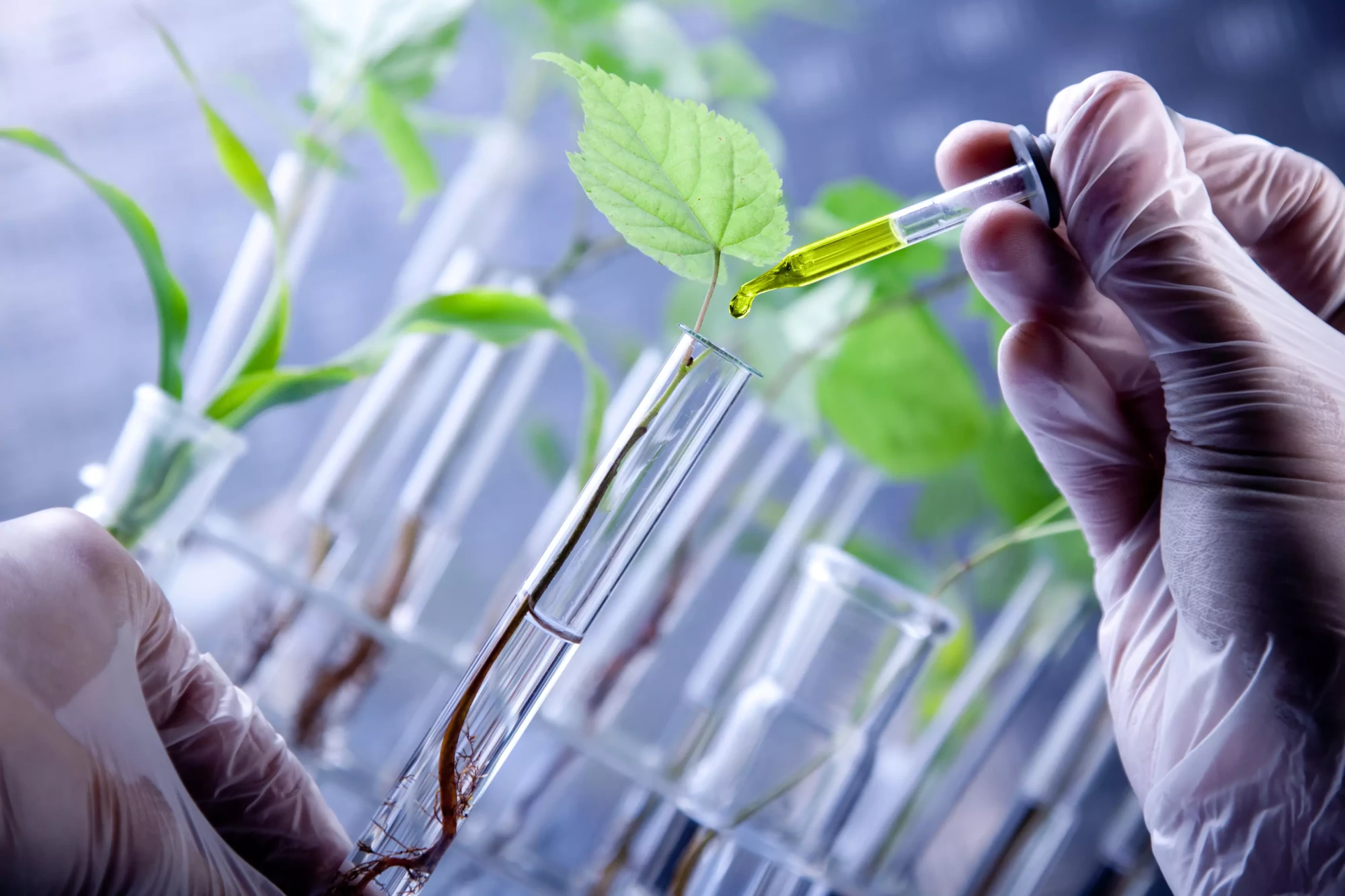 Process industriels Aliatem Consulting expert en Industrie chimique, Biotechnologies